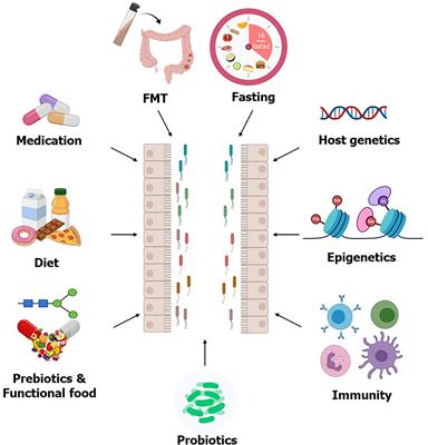 Modulating the Microbiota as a Therapeutic Intervention for Type 2 Diabetes